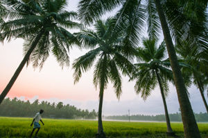 Konaseema 1 Day Tour